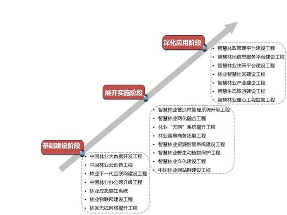 智慧林业推进路线图